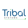 Tribal Systems Logo
