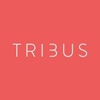 Tribus Digital Logo