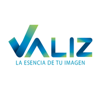 Valiz Logo