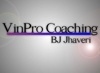 VinPro Coaching Logo