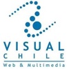 Visual Chile Logo
