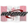 Webenergy Logo