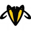 WebHornet Logo