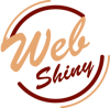 WebShiny | Best Digital Marketing Company In Amritsar, Top Digital Marketing, SEO, SMM agency Logo