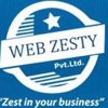 Webzesty Pvt Ltd Logo