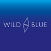 Wild Blue Digital Logo