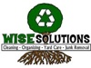Wise Solutions Logo