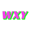 WXY Logo