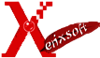 Xenixsoft IT Services Private Limited Logo