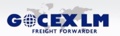 GOCEX LM, S.C. Logo