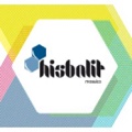 Hisbalit Mosaico Logo