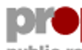 propunkt Logo