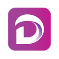 DigiSol Logo