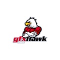 GFX Hawk Logo