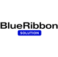 BlueRibbon Solution Logo