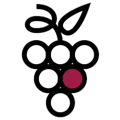 SalesGrape Logo