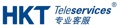 HKT Teleservices (Shanghai) Co.Ltd. Logo