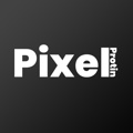 Pixel Protin - Ecommerce Agency Logo