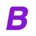 BlindSeer Pty Ltd Logo