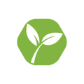 Web Sprout Logo