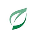 Vine Group Logo