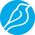 Bluebird International Logo