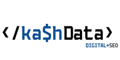 Kash Data Consulting LLC Logo