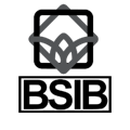Best Start in Business Logo