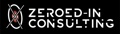 Zeroed-In Consulting, LLP Logo