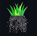 Grassroots Digital Marketing Studio Logo