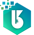 B&K Software Company Logo