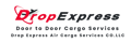 Drop Express Logo