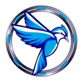 Blue Jay Solution Logo