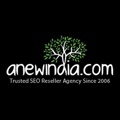 A New India ™ Logo