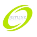 NETLINK IT SERVICES Logo