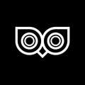 Owlvision Logo