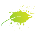 Parkwood Creative Logo