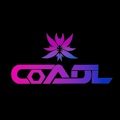 Coadal Technology Pvt. Ltd. Logo