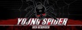 Young Spider SEO and Digital Marketing Logo
