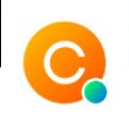 C Level Logo