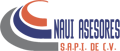 Naui Asesores Logo