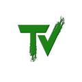 TechVizmo Logo