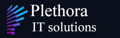 PLETHORA IT & HR SOLUTIONS Logo