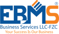 EBMS Business Services LLC Logo