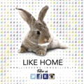 Like Home Immobilier Logo