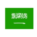 SAUDI ARABIA VISA Logo