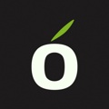 OliveOrbit Logo