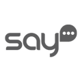 SAY Agency Logo