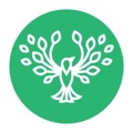 SwiftRoot Logo