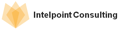 Intelpoint Consulting Logo